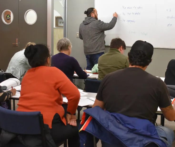Te Weu te reo Māori learning resources